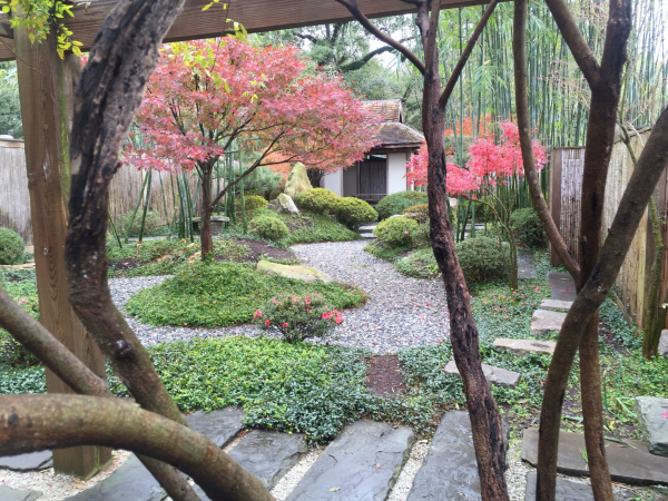 Wednesdays In Oct April Free Meditation In The Japanese Garden
